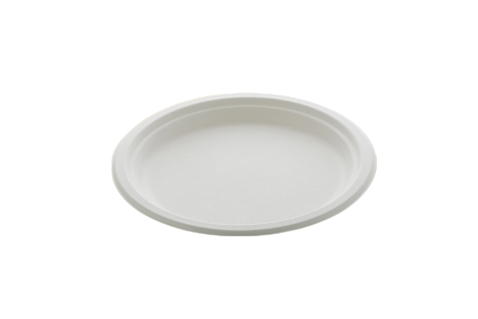 10'' PLAIN ROUND PLATE